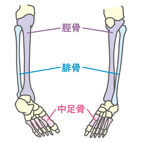 足から、肩こり 背中こり (* ´艸｀)